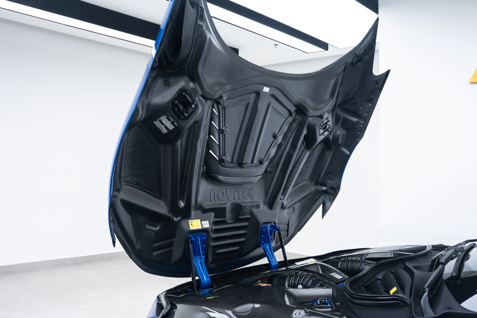 2025 FERRARI PUROSANGUE | MAIN DEALER SERVICE | CUSTOM SPECIFICATIONS